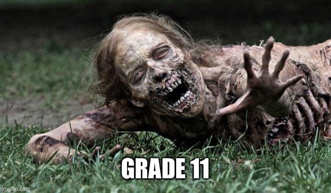 Walking Dead Zombie | GRADE 11 | image tagged in walking dead zombie | made w/ Imgflip meme maker