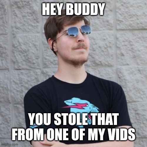 Mr. Beast | HEY BUDDY YOU STOLE THAT FROM ONE OF MY VIDS | image tagged in mr beast | made w/ Imgflip meme maker