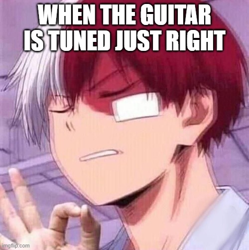 P E R F E C T | WHEN THE GUITAR IS TUNED JUST RIGHT | image tagged in todoroki | made w/ Imgflip meme maker