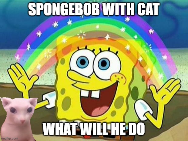 what will he do | SPONGEBOB WITH CAT; WHAT WILL HE DO | image tagged in spongebob rainbow | made w/ Imgflip meme maker
