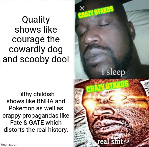 Sleeping Shaq | Quality shows like courage the cowardly dog and scooby doo! CRAZY OTAKUS; CRAZY OTAKUS; Filthy childish shows like BNHA and Pokemon as well as crappy propagandas like Fate & GATE which distorts the real history. | image tagged in memes,sleeping shaq,corruption | made w/ Imgflip meme maker