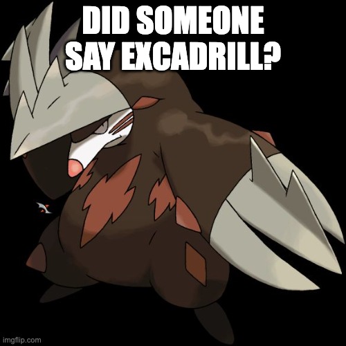 Excadrill I dare You | DID SOMEONE SAY EXCADRILL? | image tagged in excadrill i dare you | made w/ Imgflip meme maker