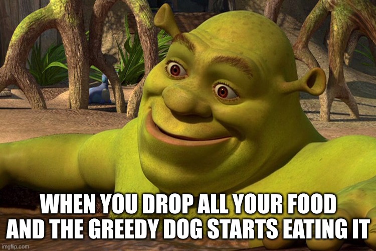 im bored | WHEN YOU DROP ALL YOUR FOOD AND THE GREEDY DOG STARTS EATING IT | image tagged in bored,shrek | made w/ Imgflip meme maker