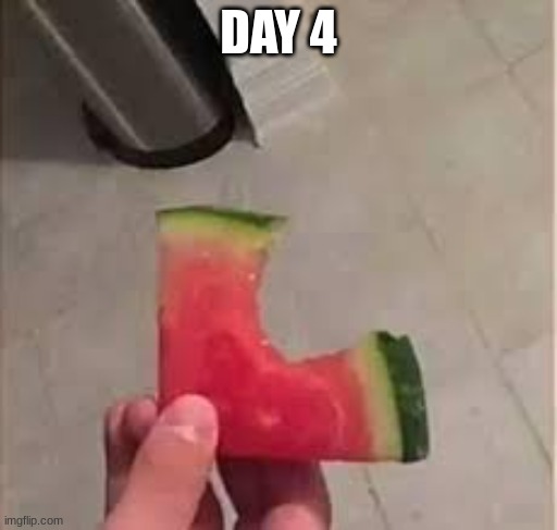 Day 4 | DAY 4 | made w/ Imgflip meme maker