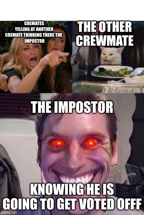 what the imposter is thinking when the crewmates are accusing another crewmate | THE OTHER CREWMATE; CREMATES YELLING AT ANOTHER CREMATE THINKING THERE THE 
 IMPOSTOR; THE IMPOSTOR; KNOWING HE IS GOING TO GET VOTED OFFF | image tagged in memes,woman yelling at cat,when the imposter is sus | made w/ Imgflip meme maker