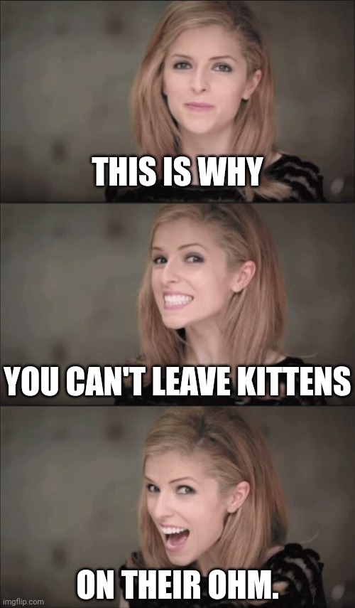 Bad Pun Anna Kendrick Meme | THIS IS WHY ON THEIR OHM. YOU CAN'T LEAVE KITTENS | image tagged in memes,bad pun anna kendrick | made w/ Imgflip meme maker