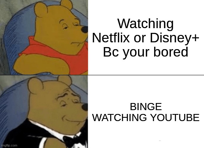 is this tru YES | Watching Netflix or Disney+ Bc your bored; BINGE WATCHING YOUTUBE | image tagged in memes,tuxedo winnie the pooh | made w/ Imgflip meme maker