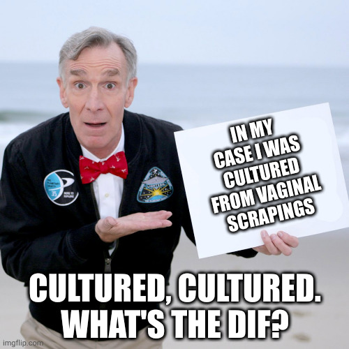 I love English | IN MY CASE I WAS CULTURED FROM VAGINAL SCRAPINGS; CULTURED, CULTURED.
WHAT'S THE DIF? | image tagged in bill nye blank sign | made w/ Imgflip meme maker