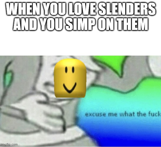 dont simp on them | WHEN YOU LOVE SLENDERS AND YOU SIMP ON THEM | image tagged in excuse me wtf blank template | made w/ Imgflip meme maker