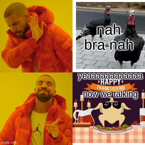 Drake Hotline Bling | nah bra nah; yeaaaaaaaaaaaa     now we talking | image tagged in memes,drake hotline bling | made w/ Imgflip meme maker