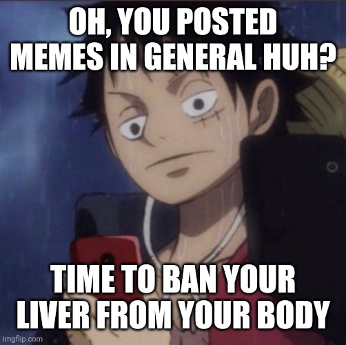 Idk, I'm bored and my humor doesn't exist rn | OH, YOU POSTED MEMES IN GENERAL HUH? TIME TO BAN YOUR LIVER FROM YOUR BODY | image tagged in luffy phone | made w/ Imgflip meme maker