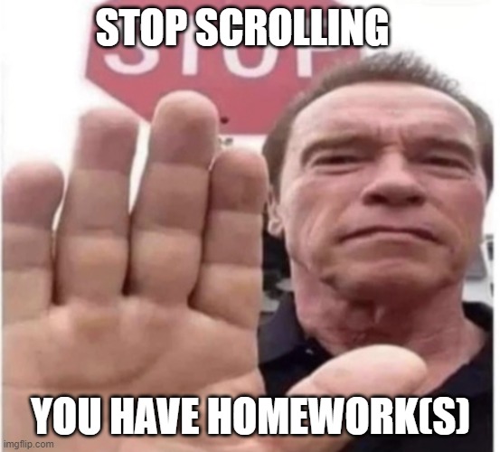 stop | STOP SCROLLING; YOU HAVE HOMEWORK(S) | image tagged in stop scrolling arnold | made w/ Imgflip meme maker