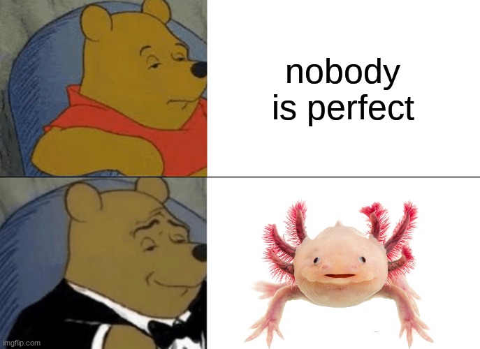 Axolotls never sin | nobody is perfect | image tagged in axolotl,axolotl drake,tuxedo winnie the pooh,drake hotline bling,nobody is born cool | made w/ Imgflip meme maker