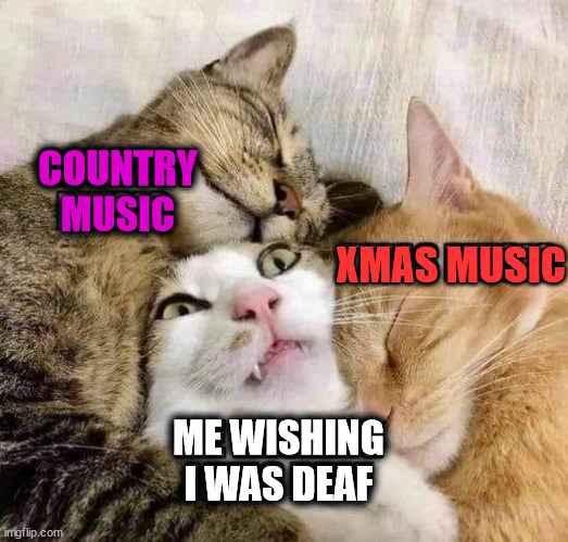 This time of the year is rough. | COUNTRY
MUSIC; XMAS MUSIC; ME WISHING
I WAS DEAF | image tagged in heavy metal | made w/ Imgflip meme maker