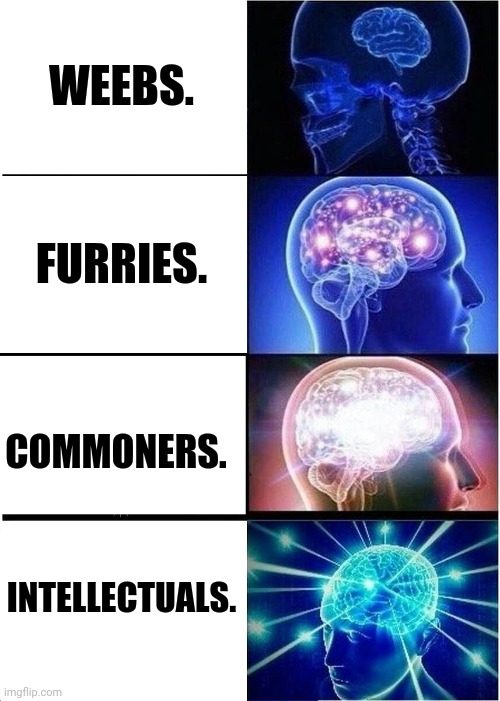 Expanding Brain Meme | WEEBS. FURRIES. COMMONERS. INTELLECTUALS. | image tagged in memes,weeaboo,expanding brain | made w/ Imgflip meme maker