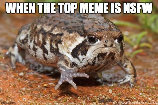 really? |  WHEN THE TOP MEME IS NSFW | image tagged in memes,grumpy toad | made w/ Imgflip meme maker