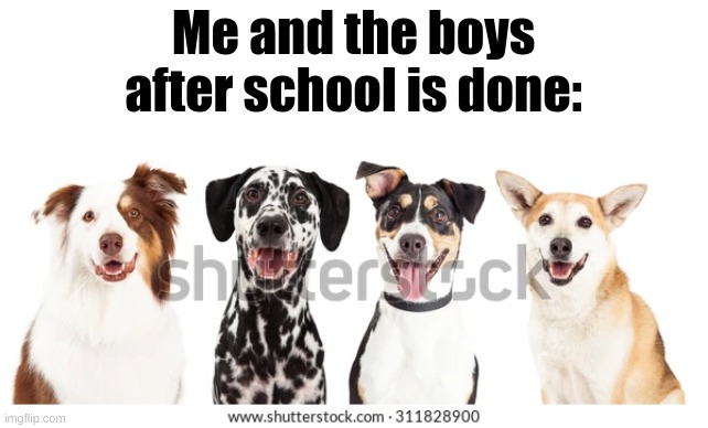 m | Me and the boys after school is done: | image tagged in shuter stock | made w/ Imgflip meme maker