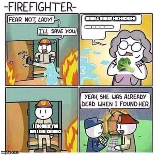 Firefighter | OOOH A HUNKY FIREFIGHTER; WOULD YOU LIKE SOME BROCCOLI; I THOUGHT YOU GAVE OUT COOKIES | image tagged in firefighter | made w/ Imgflip meme maker