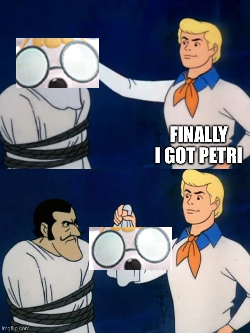 ACNH fans be like | FINALLY I GOT PETRI | image tagged in scooby doo mask reveal | made w/ Imgflip meme maker