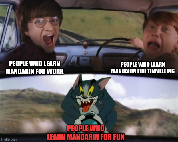 Mandarin | PEOPLE WHO LEARN MANDARIN FOR TRAVELLING; PEOPLE WHO LEARN MANDARIN FOR WORK; PEOPLE WHO LEARN MANDARIN FOR FUN | image tagged in tom chasing harry and ron weasly | made w/ Imgflip meme maker