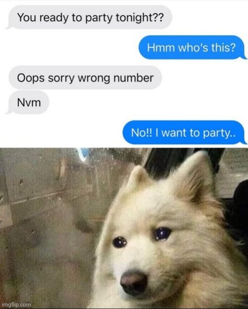 image tagged in memes,party,wrong,numbers | made w/ Imgflip meme maker