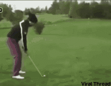 Golf Cart | image tagged in gifs,funny | made w/ Imgflip images-to-gif maker
