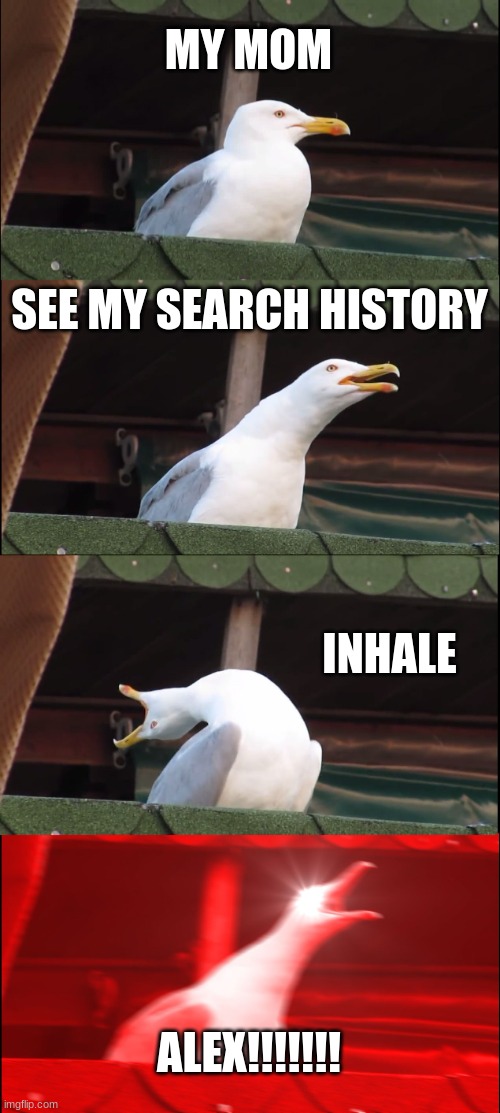 i am in trouble | MY MOM; SEE MY SEARCH HISTORY; INHALE; ALEX!!!!!!! | image tagged in memes,inhaling seagull | made w/ Imgflip meme maker