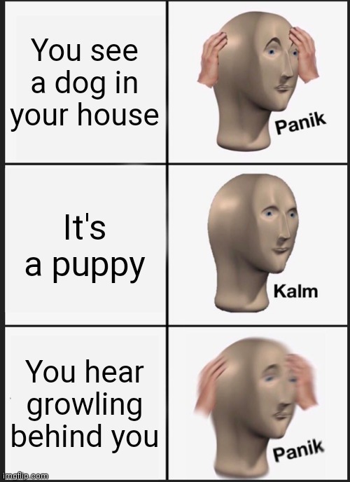 I'm close to 1000- | You see a dog in your house; It's a puppy; You hear growling behind you | image tagged in memes,panik kalm panik | made w/ Imgflip meme maker