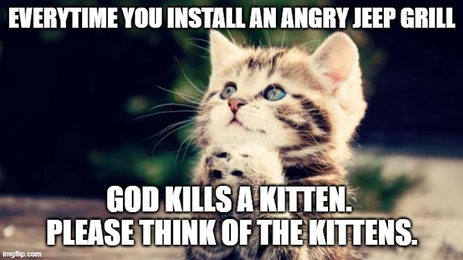 Cute kitten | EVERYTIME YOU INSTALL AN ANGRY JEEP GRILL; GOD KILLS A KITTEN.  PLEASE THINK OF THE KITTENS. | image tagged in cute kitten | made w/ Imgflip meme maker