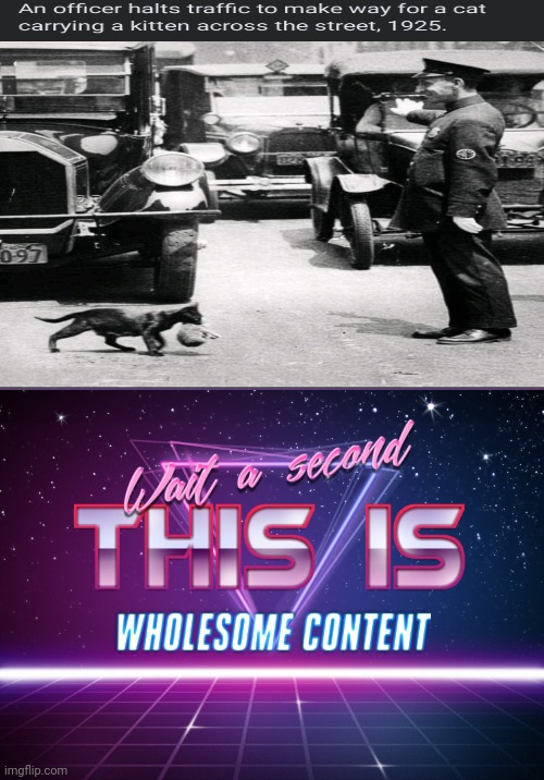 Wait a second this is wholesome content | image tagged in wait a second this is wholesome content,wholesome,cat,1925,officer | made w/ Imgflip meme maker