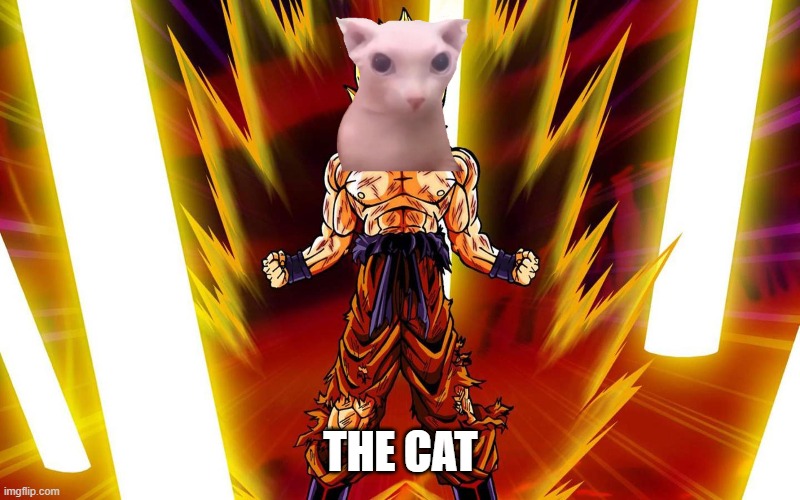 THE CAT | image tagged in super sayain | made w/ Imgflip meme maker