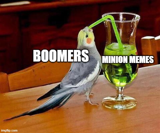 Big Sip |  BOOMERS; MINION MEMES | image tagged in big sip | made w/ Imgflip meme maker