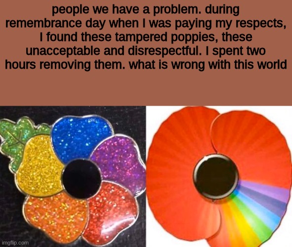 this is the reason why i hate LGBTQ | people we have a problem. during remembrance day when I was paying my respects, I found these tampered poppies, these unacceptable and disrespectful. I spent two hours removing them. what is wrong with this world | image tagged in crusader | made w/ Imgflip meme maker