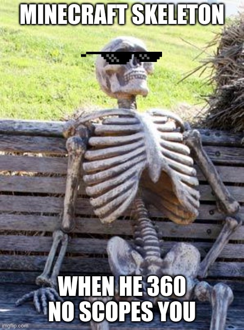 Waiting Skeleton | MINECRAFT SKELETON; WHEN HE 360 NO SCOPES YOU | image tagged in memes,waiting skeleton | made w/ Imgflip meme maker