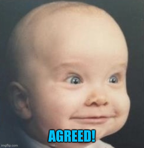 Baby Eisenhower | AGREED! | image tagged in baby eisenhower | made w/ Imgflip meme maker