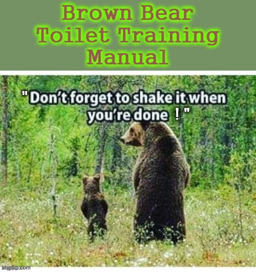 Brown Bear Toilet Training | " | image tagged in shake it off | made w/ Imgflip meme maker
