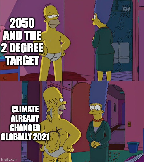 Homer knows how to hide it | 2050 AND THE 2 DEGREE TARGET; CLIMATE ALREADY CHANGED GLOBALLY 2021 | image tagged in homer simpson's back fat | made w/ Imgflip meme maker
