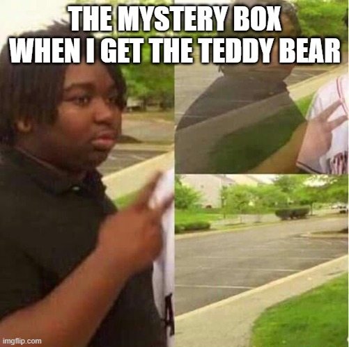 yes another COD meme | THE MYSTERY BOX WHEN I GET THE TEDDY BEAR | image tagged in disappearing,cod,mystery,box,teddy bear | made w/ Imgflip meme maker