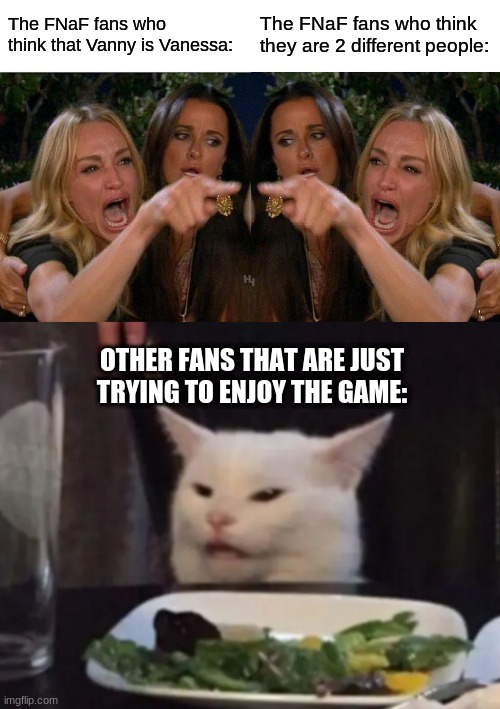 But hey thats just a theory | The FNaF fans who think that Vanny is Vanessa:; The FNaF fans who think they are 2 different people:; OTHER FANS THAT ARE JUST TRYING TO ENJOY THE GAME: | image tagged in memes,woman yelling at cat | made w/ Imgflip meme maker