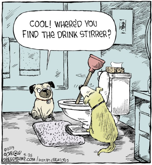 Drink stirrer, hol up | image tagged in comics/cartoons,comics,comic,bathroom,plumbing,dogs | made w/ Imgflip meme maker