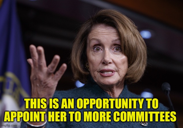 Good old Nancy Pelosi | THIS IS AN OPPORTUNITY TO APPOINT HER TO MORE COMMITTEES | image tagged in good old nancy pelosi | made w/ Imgflip meme maker