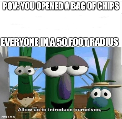 Why | POV: YOU OPENED A BAG OF CHIPS; EVERYONE IN A 50 FOOT RADIUS | image tagged in allow us to introduce ourselves | made w/ Imgflip meme maker