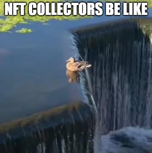 NFT COLLECTORS BE LIKE | made w/ Imgflip meme maker