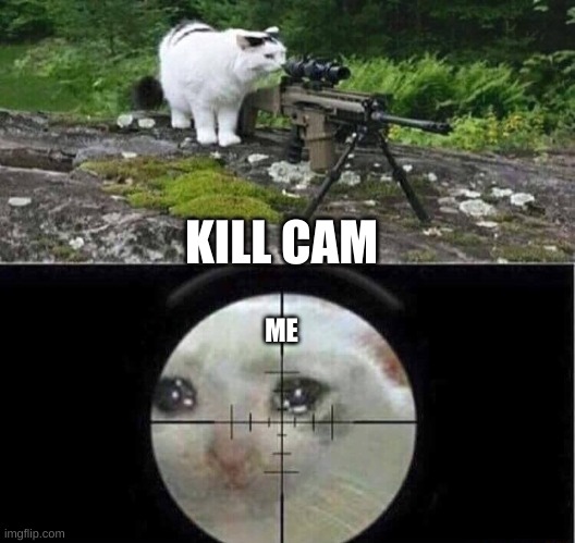 When you relized you screwed up |  KILL CAM; ME | image tagged in sniper cat | made w/ Imgflip meme maker