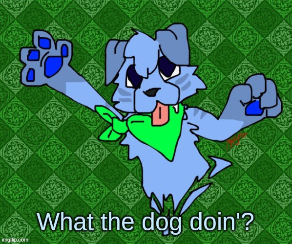 Larq (drawn by magmafury) | What the dog doin'? | image tagged in larq drawn by magmafury | made w/ Imgflip meme maker