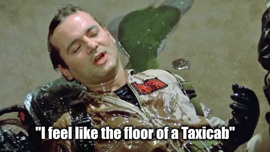 Ghostbusters slime | "I feel like the floor of a Taxicab" | image tagged in ghostbusters slime | made w/ Imgflip meme maker