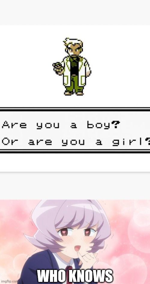 WHO KNOWS | image tagged in are you a boy or are you a girl,pokemon,professor oak,komi san can't comunicate,anime,najimi osana | made w/ Imgflip meme maker