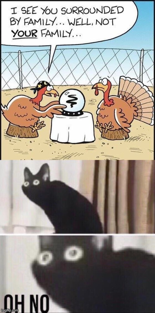 LOL | image tagged in oh no cat,thanksgiving,family,turkey,food | made w/ Imgflip meme maker