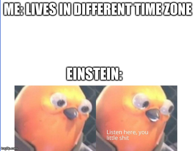 dfsasfs | ME: LIVES IN DIFFERENT TIME ZONE; EINSTEIN: | image tagged in listen here you little shit | made w/ Imgflip meme maker