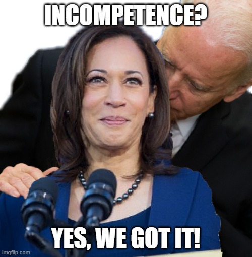Joe Biden and Kamala Hairs | INCOMPETENCE? YES, WE GOT IT! | image tagged in joe biden and kamala hairs | made w/ Imgflip meme maker